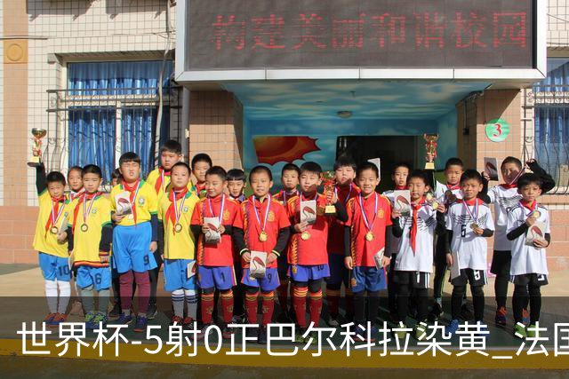 世界杯-5射0正巴尔科拉染黄 法国队半场暂0-0巴拉圭