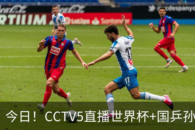 今日！CCTV5直播世界杯+国乒孙颖莎冲击冠军+中国男篮，5+转温网