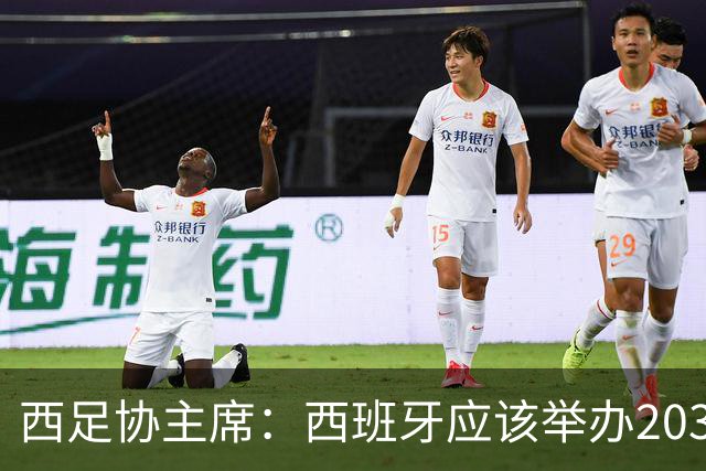 西足协主席：西班牙应该举办2030世界杯决赛，我们各方面条件最优